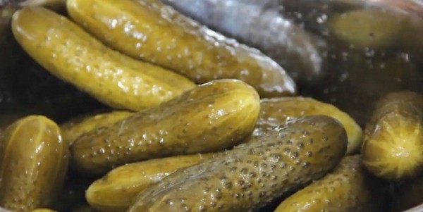 &laquo;Бродячие&raquo; огурцы на зиму