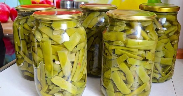 Маринованная спаржевая фасоль на зиму Маринованная спаржевая фасоль на зиму