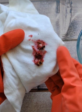 Дорогой пятновыводитель не нужен, благодаря этому средству пятна от ягод или вина исчезают мгновенно