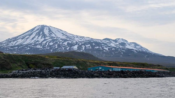 У побережья Курил произошло землетрясение магнитудой 4,5 баллов

