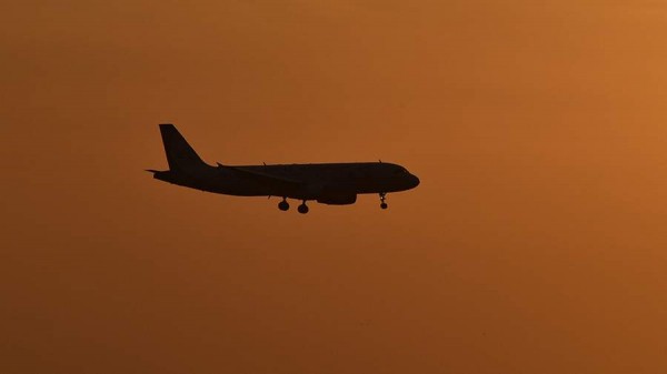 Авиакомпании перевезли между РФ и Израилем более 3 тыс. пассажиров с 9 октября
Авиакомпании перевезли между РФ и Израилем более 3 тыс. пассажиров с 9 октября
