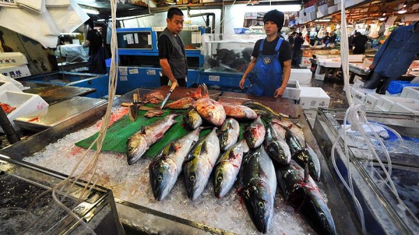 Россия временно ограничила импорт морепродуктов из Японии
