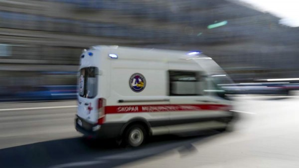 Мальчик попал в больницу после укуса мини-пига в кафе Санкт-Петербурга

