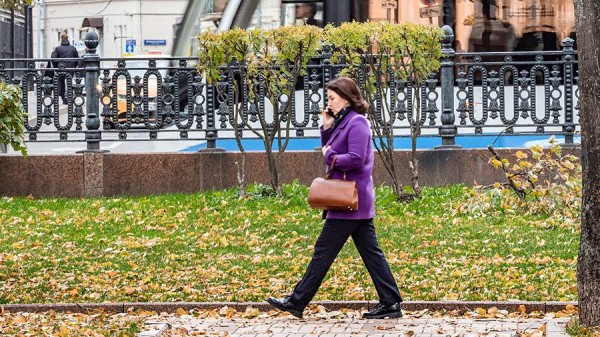 В Роскомнадзоре заявили о готовности блокировать звонки в мессенджерах
