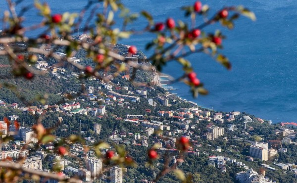 
                    Зеленский рассказал, чем не готов пожертвовать ради возвращения Крыма

                