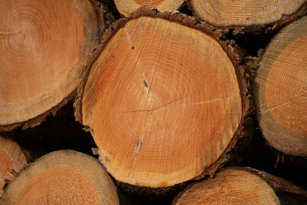 
                    Швейцария опровергла подготовку к проведению второго &laquo;саммита мира&raquo;

                