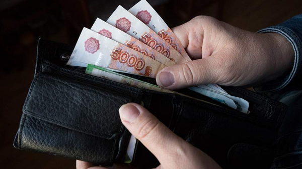 В Госдуме сообщили о влиянии праздников на размер зарплаты в январе
