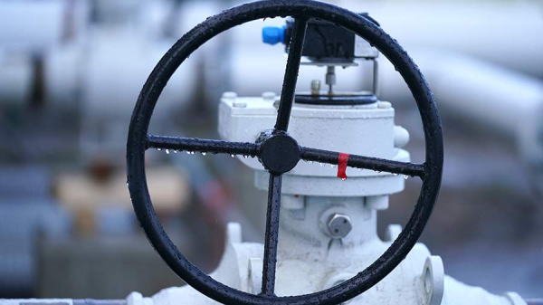 В США предположили продолжение поставок газа Россией своим союзникам в ЕС
В США предположили продолжение поставок газа Россией своим союзникам в ЕС