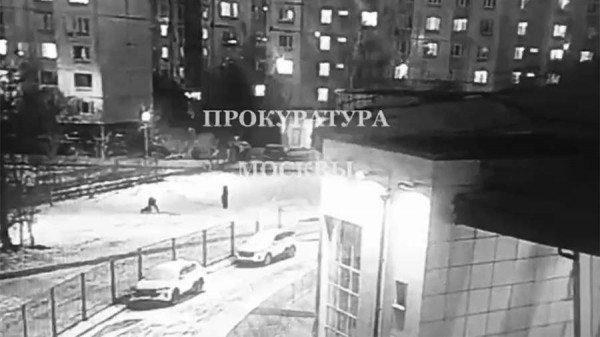 Москвич выстрелил из ракетницы в сторону выгуливающих собак людей
Москвич выстрелил из ракетницы в сторону выгуливающих собак людей