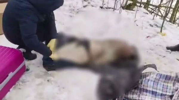 
                    Опубликовано последнее видео убитого и расчлененного в Петербурге мужчины

        