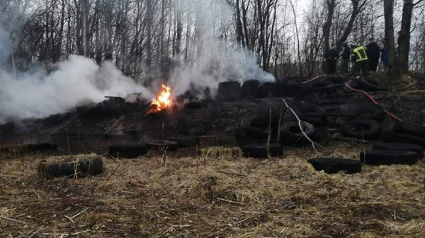 
                    В Битцевском лесу произошел пожар

        