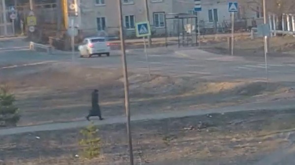 
                    ФСБ показала тайник террористов с оружием под надписью &laquo;Лера, привет!&raquo;

                