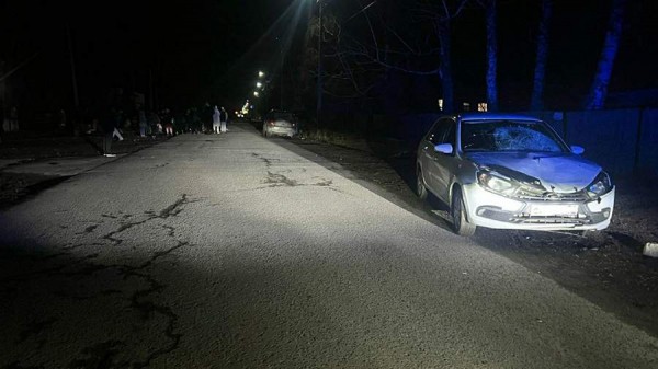 
                    В Новосибирской области пьяная женщина сбила насмерть двух пешеходов

        