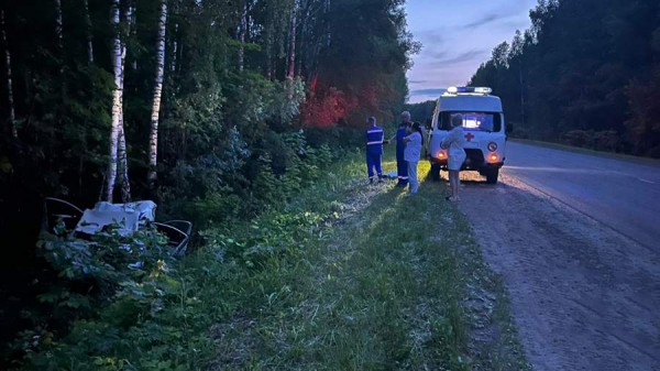 Ребенок и мужчина погибли в результате ДТП с лосем в Башкортостане
Ребенок и мужчина погибли в результате ДТП с лосем в Башкортостане