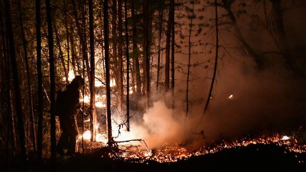 
                    В МЧС заявили о стабилизации ситуации с лесным пожаром на южном берегу Крыма

        