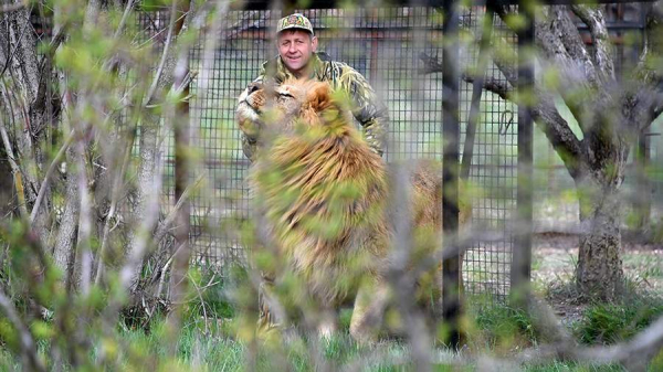 
                    В парке &laquo;Тайган&raquo; сообщили об улучшении самочувствия пострадавшего директора

        