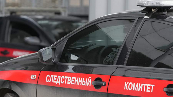 
                    СК начал проверку после нападения в Москве на девушку за отказ познакомиться

        