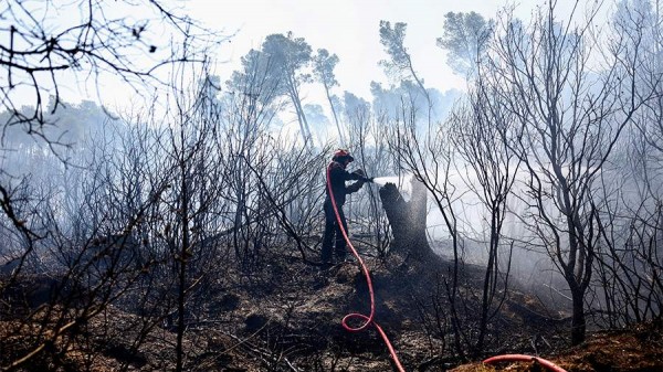 
                    В результате природного пожара во Франции погиб по меньшей мере один человек

        