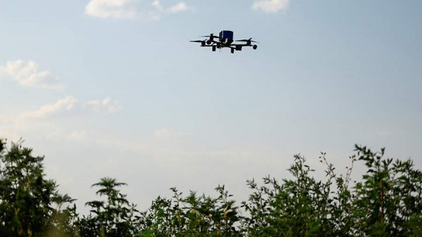 В Белоруссии с начала года зафиксировали более 300 нарушений границы дронами
В Белоруссии с начала года зафиксировали более 300 нарушений границы дронами