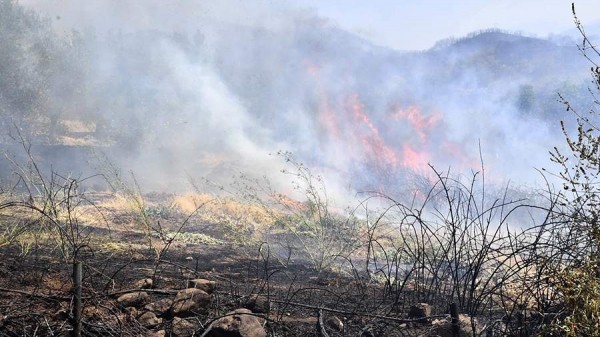 Почти 200 человек эвакуированы из провинции Мерсин в Турции из-за лесных пожаров
Почти 200 человек эвакуированы из провинции Мерсин в Турции из-за лесных пожаров