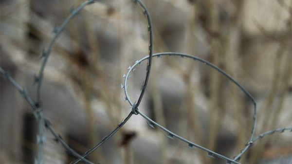 Не менее 17 человек погибли во время бунта в тюрьме Эквадора в Колумбии
Не менее 17 человек погибли во время бунта в тюрьме Эквадора в Колумбии