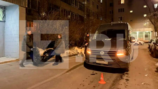 
                    Стало известно о самостоятельном вызове полиции дочерью убитой в Москве женщины

        