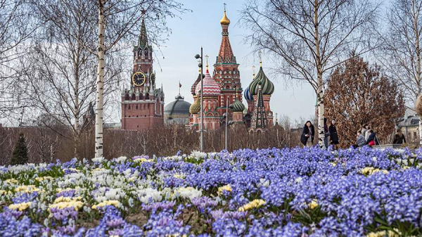 В Кремле рассказали о подготовке визита Путина в Китай
В Кремле рассказали о подготовке визита Путина в Китай
