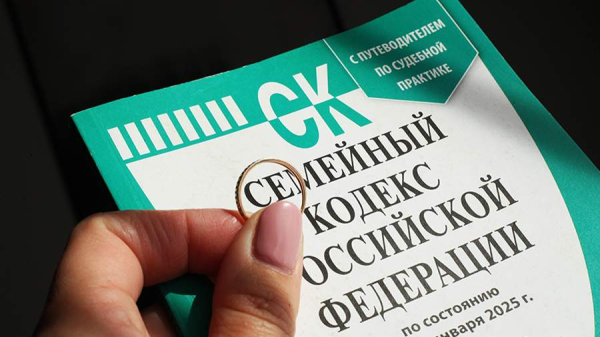 В Совфеде предложили увеличить сроки развода при наличии детей
В Совфеде предложили увеличить сроки развода при наличии детей